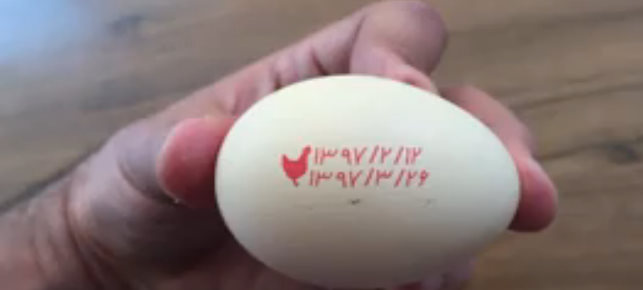 عکس تخم مرغ چاپ شده با جت پرینتر تخم مرغ